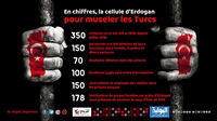 En chiffres, la cellule