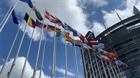 Un parti musulman