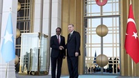 La Somalie, fer de