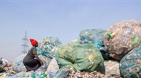 COP26 : la Gambie,
