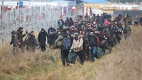 L'Irak rapatrie 431