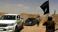 Les jihadistes de