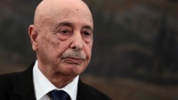 Libye: le président