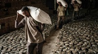 Un massacre en silence: