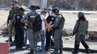 Les forces de l'occupation