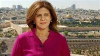 Une journaliste palestinienne