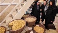 Iran : plusieurs