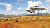 Kenya : le bilan